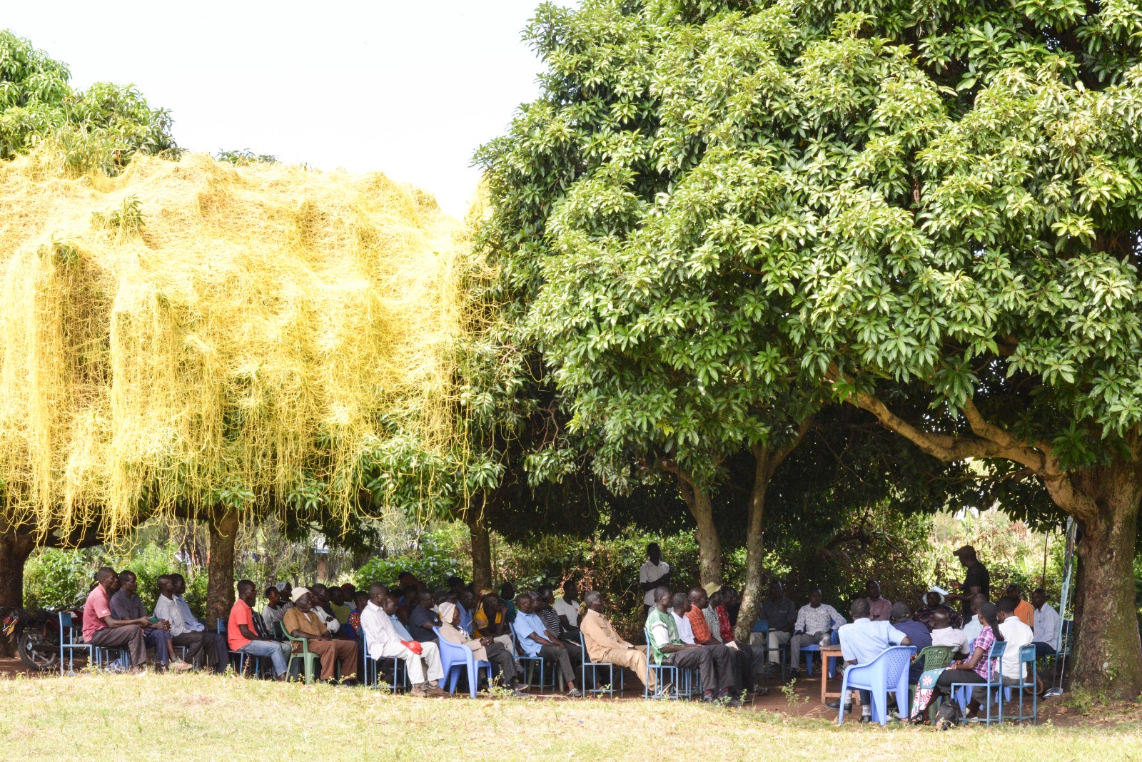 Community Hygiene & WASH Sensitization
